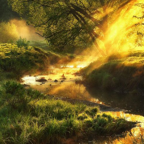 4019449463112 - Glasbild MISTY LANDSCAPE III (BHT 20x20x130 cm) PRO ART 4019449463112 - Glasbild MISTY LANDSCAPE III (BHT 20x20x130 cm) PRO ART