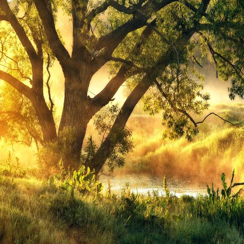 4019449463099 - PRO ART Glasbild MISTY LANDSCAPE I (BHT 20x20x130 cm) BHT 20x20x130 cm bunt Acrylglasbild 4019449463099 - PRO ART Glasbild MISTY LANDSCAPE I (BHT 20x20x130 cm) BHT 20x20x130 cm bunt Acrylglasbild
