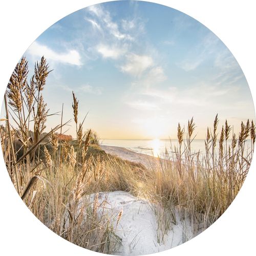 4019449470585 - PRO ART Glasbild WILDER STRAND III (BHT 20x20x130 cm) BHT 20x20x130 cm bunt Acrylglasbild 4019449470585 - PRO ART Glasbild WILDER STRAND III (BHT 20x20x130 cm) BHT 20x20x130 cm bunt Acrylglasbild