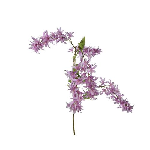 8720725761278 - Kunstblume