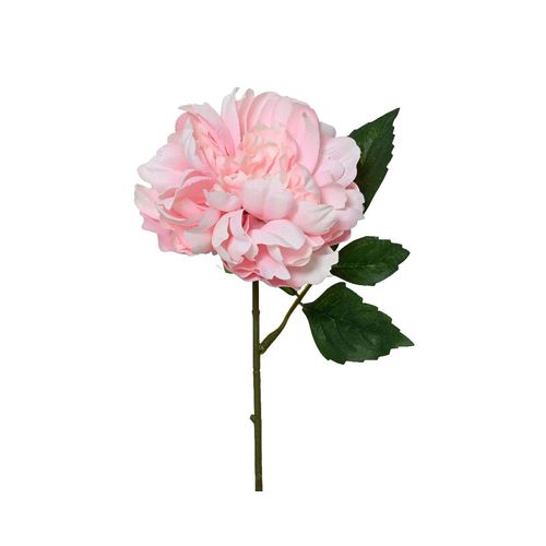 8720725418271 - Kunstblume PFINGSTROSE