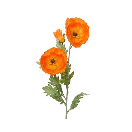 8720725483767 - Kunstblume MOHN