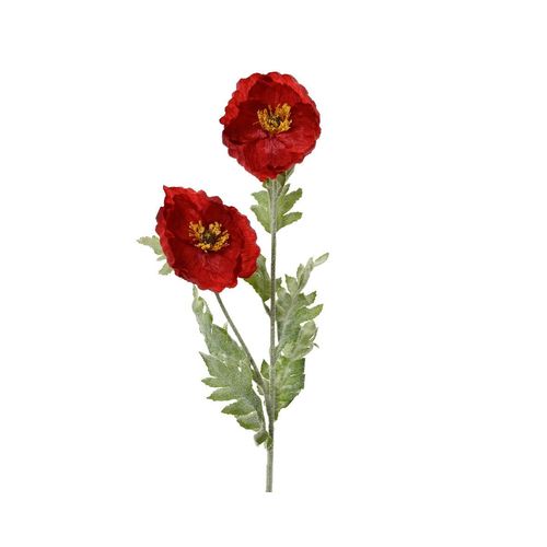 8720725448063 - Kunstblume MOHN