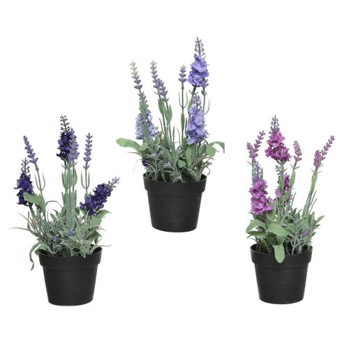 8720093957556 - Kunstpflanze lavendel sortierte Farben ø12x25cm