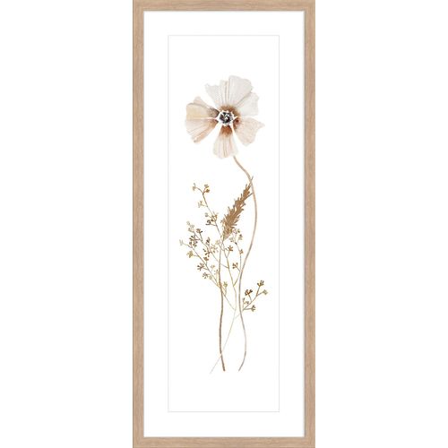 4250133653468 - Kunstdruck WILD FLOWERS II (BH 31x81 cm) BH 31x81 cm grün Bild Gemälde Wandbild