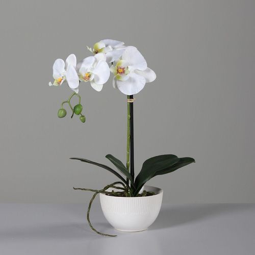4027234949123 - Kunstblume Orchidee (H 40 cm) 4027234949123 - Kunstblume Orchidee (H 40 cm)