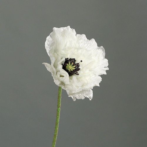 4027234881447 - Kunstblume MOHN (H 60 cm) 4027234881447 - Kunstblume MOHN (H 60 cm)