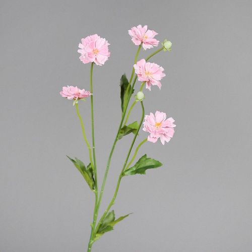 4027234969336 - Kunstblume COSMEA (H 70 cm)