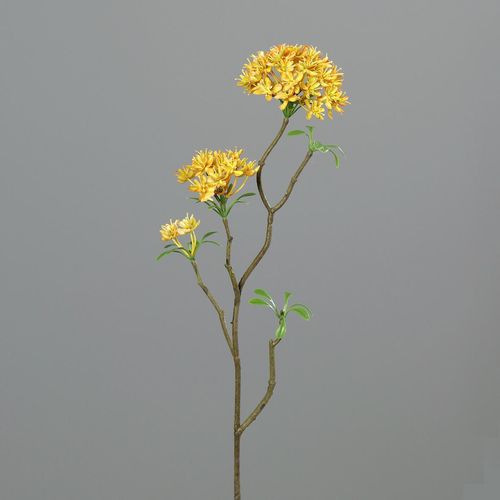 4027234908427 - Kunstblume BOWARDIENZWEIG (H 54 cm) 4027234908427 - Kunstblume BOWARDIENZWEIG (H 54 cm)