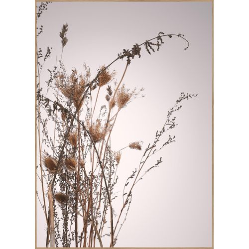 5708443870581 - Posterboard 1617 (BH 30x40 cm) BH 30x40 cm bunt