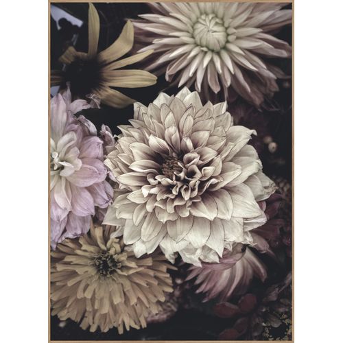 5708443755581 - Posterboard OPLULENT 5 (BH 50x70 cm) BH 50x70 cm bunt