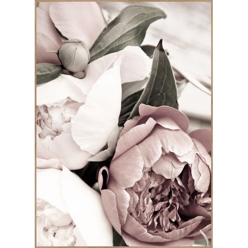 5708443755161 - Posterboard OPLULENT 1 (BH 30x40 cm) BH 30x40 cm bunt