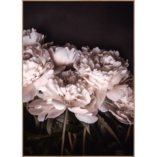 5708443869509 - Posterboard SIGMA 2 (BH 30x40 cm) BH 30x40 cm bunt