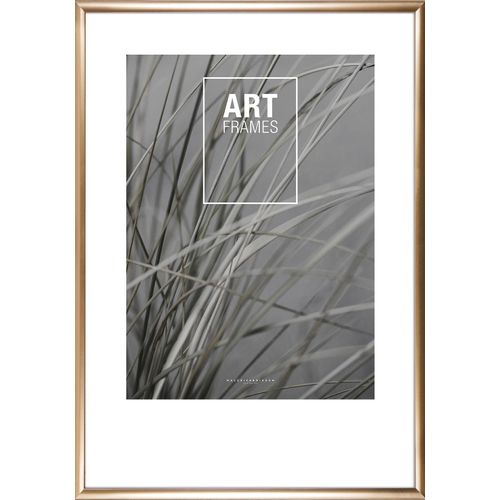 5708443951396 - Wechselrahmen (BH 70x100 cm) BH 70x100 cm gold