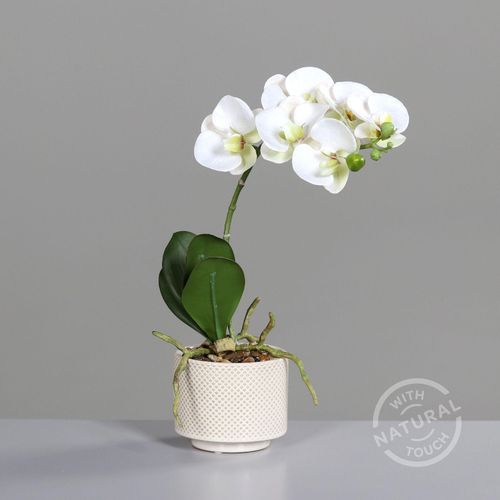 4099886003270 - Kunstblume Orchidee (H 34 cm) H 34 cm weiß Pflanze Kunstpflanze Zimmerpflanze 4099886003270 - Kunstblume Orchidee (H 34 cm) H 34 cm weiß Pflanze Kunstpflanze Zimmerpflanze