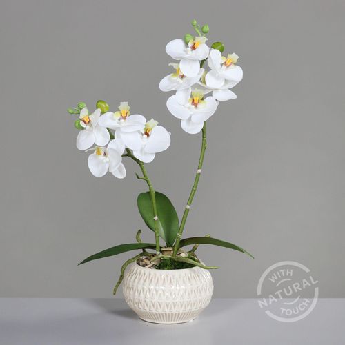 4099886003294 - Kunstblume Orchidee (H 36 cm) H 36 cm weiß Pflanze Kunstpflanze Zimmerpflanze