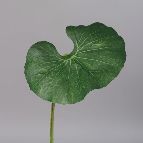 4027234856384 - Kunstpflanze Begonienblatt (H 55 cm)