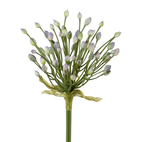 4003529168080 - Kunstblume ALLIUM (H 70 cm) 4003529168080 - Kunstblume ALLIUM (H 70 cm)