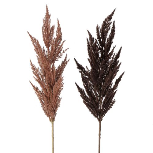 4020607939370 - 2er-Set Dekozweige Pampasgras in Braun - (B)12 x (H)95 cm 4020607939370 - 2er-Set Dekozweige Pampasgras in Braun - (B)12 x (H)95 cm