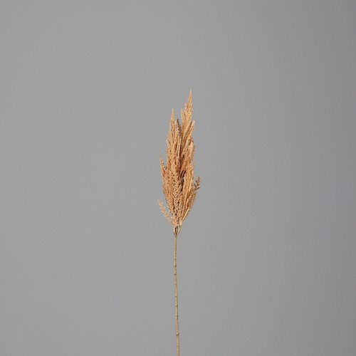 4027234946245 - Kunstpflanze PAMPASWEDEL (H 83 cm) 4027234946245 - Kunstpflanze PAMPASWEDEL (H 83 cm)