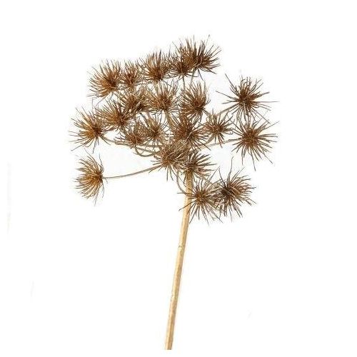 4020607693258 - Kunstpflanze BÄRENKLAU (BHT 15x76x20 cm) BHT 15x76x20 cm bunt Pflanze Kunstblume Zimmerpflanze