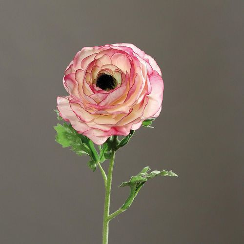 4027234880426 - Kunstblume Ranunkel (H 53 cm)