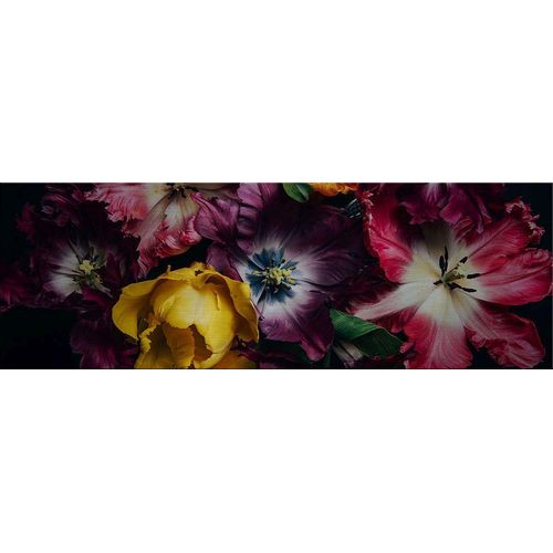 4250133649966 - Alu-Dibond WILD FLOWERS (BH 150x50 cm) BH 150x50 cm bunt 4250133649966 - Alu-Dibond WILD FLOWERS (BH 150x50 cm) BH 150x50 cm bunt