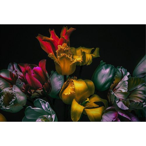 4250133652041 - Alu-Dibond BOUQUET (BH 120x80 cm) BH 120x80 cm bunt