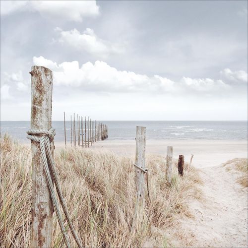 4019449371714 - Glasbild OASE DER SINNE II (LB 30x30 cm) PRO ART