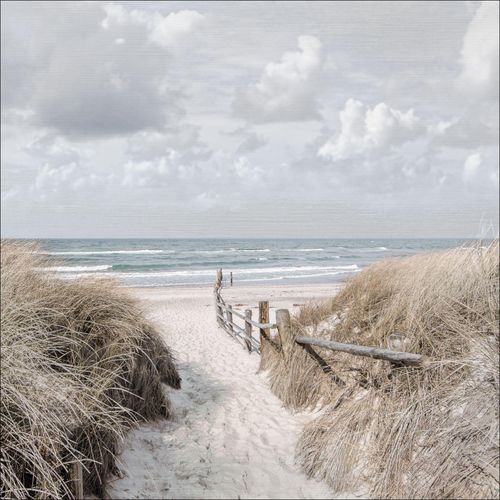 4019449428555 - PRO ART Aludibondbild WAY TO SEA II (LB 98x98 cm) LB 98x98 cm bunt Alubild Metallbild 4019449428555 - PRO ART Aludibondbild WAY TO SEA II (LB 98x98 cm) LB 98x98 cm bunt Alubild Metallbild