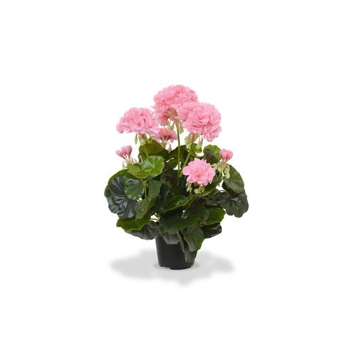 7613132157424 - Botanic-Haus Kunstblume »Geranien in Topf 40 cm«