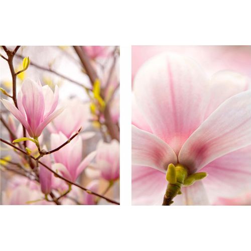 4003529218976 - Bild CREATIV HOME Magnolien Bilder Gr B H T 30 cm x 40 cm x 2 cm 2 St rosa Kunstdrucke Bilder 2er Set