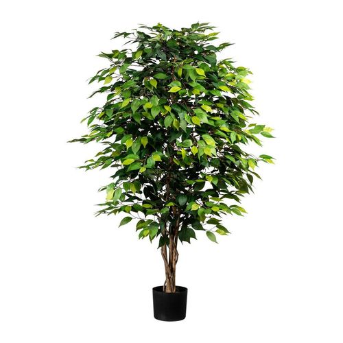 4064118246169 - P & B Kunstpflanze  Braun Grün Schwarz  Kunststoff Naturmaterialien  150 cm  inkl Topf mit Naturstamm  Dekoration Blumen & Zubehör