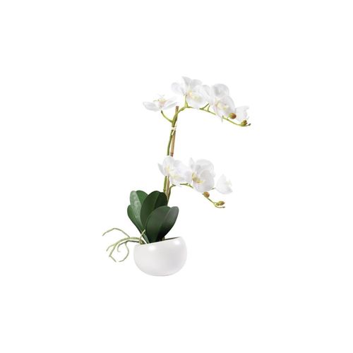 7613132213373 - Kunstblume »Dekomat AG Orchidee im Topf 48 cm« 7613132213373 - Kunstblume »Dekomat AG Orchidee im Topf 48 cm«
