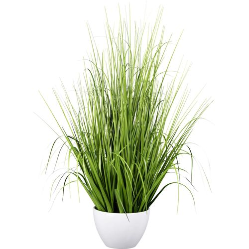 4064118319719 - Kunstgras CREATIV GREEN Grasbusch grün H79cm Kunststoff Kunstpflanzen mit zahlreichen Grashalmen 4064118319719 - Kunstgras CREATIV GREEN Grasbusch grün H79cm Kunststoff Kunstpflanzen mit zahlreichen Grashalmen