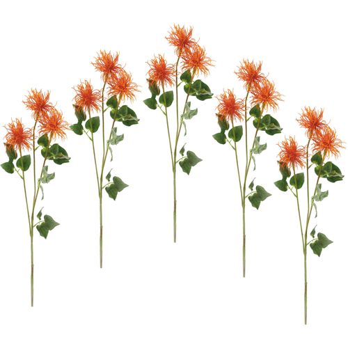 4019844782801 - Kunstblume IGEA Spinnenprotea orange B16cm H78cm Obermaterial 60% Polyester 40% Kunststoff Kunstpflanzen 5er Set 4019844782801 - Kunstblume IGEA Spinnenprotea orange B16cm H78cm Obermaterial 60% Polyester 40% Kunststoff Kunstpflanzen 5er Set