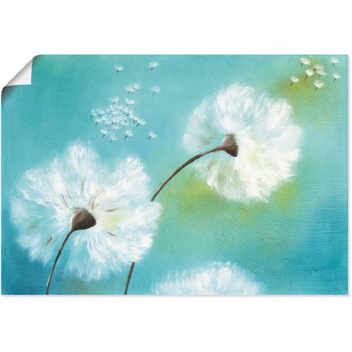 4055327300292 - Wandbild ARTLAND Pusteblumen Bilder Gr B H 70 cm x 50 cm Poster Blumen 1 St blau Bild Metallbild Metallbilder Bilder als Alubild Leinwandbild Wandaufkleber oder Poster in versch Größen 4055327300292 - Wandbild ARTLAND Pusteblumen Bilder Gr B H 70 cm x 50 cm Poster Blumen 1 St blau Bild Metallbild Metallbilder Bilder als Alubild Leinwandbild Wandaufkleber oder Poster in versch Größen