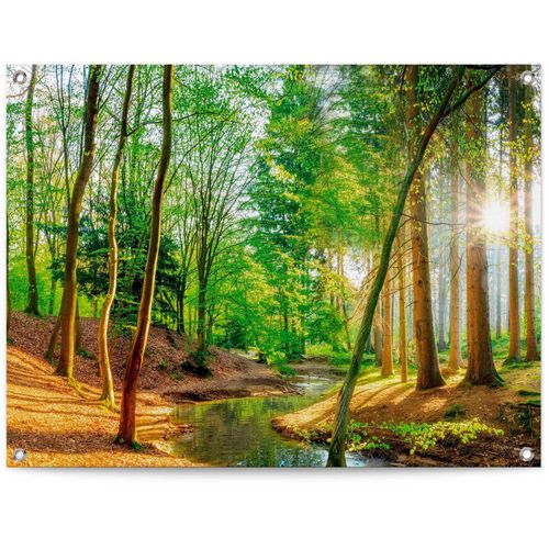8714597627961 - Poster REINDERS Sonniger Wald grün (farbe bild(er) grün) B80cm H60cm T01cm Leinwand Bilder 8714597627961 - Poster REINDERS Sonniger Wald grün (farbe bild(er) grün) B80cm H60cm T01cm Leinwand Bilder