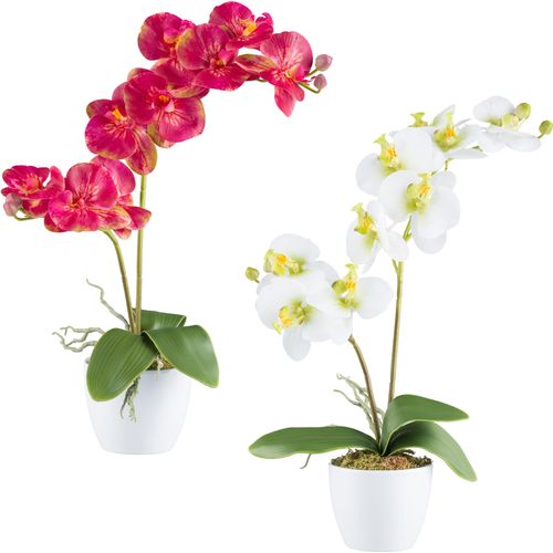 4064118241157 - Kunstorchidee CREATIV GREEN Orchidee Phalaenopsis pink H57cm Kunststoff Kunstpflanzen mit real-touch-Blüten 4064118241157 - Kunstorchidee CREATIV GREEN Orchidee Phalaenopsis pink H57cm Kunststoff Kunstpflanzen mit real-touch-Blüten