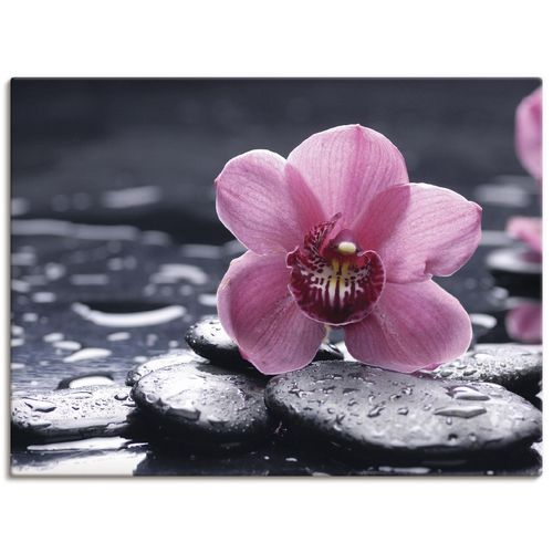 4055327241229 - Wandbild ARTLAND Stillleben mit Kiesel und einer Orchidee Bilder Gr B H 80 cm x 60 cm Leinwandbild Blumen Querformat 1 St pink Bild Poster Bilder als Alubild Leinwandbild Wandaufkleber oder in versch Größen 4055327241229 - Wandbild ARTLAND Stillleben mit Kiesel und einer Orchidee Bilder Gr B H 80 cm x 60 cm Leinwandbild Blumen Querformat 1 St pink Bild Poster Bilder als Alubild Leinwandbild Wandaufkleber oder in versch Größen