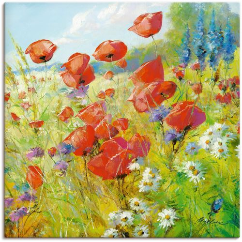 4055327137386 - Wandbild ARTLAND Sommerwiese mit Mohnblumen Bilder Gr B H 70 cm x 70 cm Leinwandbild Blumenwiese 1 St bunt Bild Poster Bilder als Alubild Leinwandbild Wandaufkleber oder in versch Größen 4055327137386 - Wandbild ARTLAND Sommerwiese mit Mohnblumen Bilder Gr B H 70 cm x 70 cm Leinwandbild Blumenwiese 1 St bunt Bild Poster Bilder als Alubild Leinwandbild Wandaufkleber oder in versch Größen