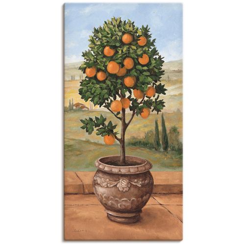 4055327160483 - Wandbild ARTLAND Orangenbaum Bilder Gr B H 30 cm x 60 cm Leinwandbild Bäume 1 St grün Bild Metallbild Metallbilder Bilder als Alubild Leinwandbild Wandaufkleber oder Poster in versch Größen 4055327160483 - Wandbild ARTLAND Orangenbaum Bilder Gr B H 30 cm x 60 cm Leinwandbild Bäume 1 St grün Bild Metallbild Metallbilder Bilder als Alubild Leinwandbild Wandaufkleber oder Poster in versch Größen