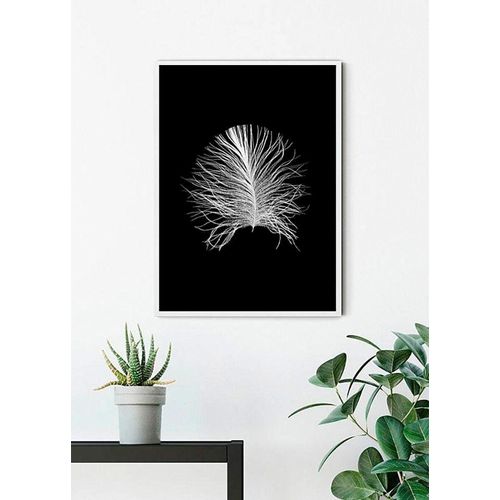 4055065155109 - Bild KOMAR Feather Black bunt (farbe bild(er) bunt) B40cm H50cm Papier Holz Bilder Wandbild zur Dekoration - ohne Rahmen 4055065155109 - Bild KOMAR Feather Black bunt (farbe bild(er) bunt) B40cm H50cm Papier Holz Bilder Wandbild zur Dekoration - ohne Rahmen