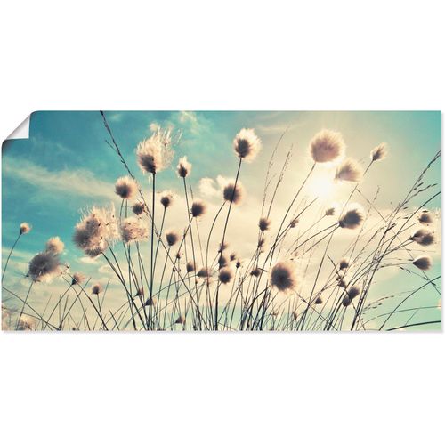 4059745195874 - Wandbild ARTLAND Wollgras Bilder Gr B H 60 cm x 30 cm Poster Gräser 1 St blau Bild Kunstdruck Kunstdrucke Bilder als Alubild Leinwandbild Wandaufkleber oder Poster in versch Größen 4059745195874 - Wandbild ARTLAND Wollgras Bilder Gr B H 60 cm x 30 cm Poster Gräser 1 St blau Bild Kunstdruck Kunstdrucke Bilder als Alubild Leinwandbild Wandaufkleber oder Poster in versch Größen