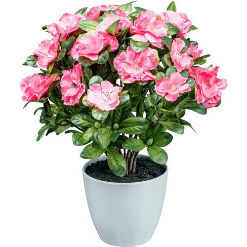 4064118138549 - Kunstblume CREATIV GREEN Azaleenbusch rosa (dunkelrosa) H32cm Obermaterial 85% Polyester 15% Polyethylen Kunstpflanzen 4064118138549 - Kunstblume CREATIV GREEN Azaleenbusch rosa (dunkelrosa) H32cm Obermaterial 85% Polyester 15% Polyethylen Kunstpflanzen
