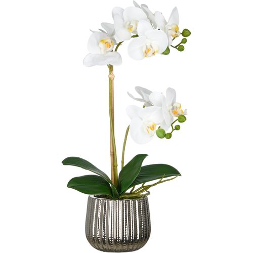 4064118325758 - Kunstorchidee CREATIV GREEN Orchidee Phalaenopsis weiß H48cm Kunststoff Kunstpflanzen mit real-touch-Blüten 4064118325758 - Kunstorchidee CREATIV GREEN Orchidee Phalaenopsis weiß H48cm Kunststoff Kunstpflanzen mit real-touch-Blüten