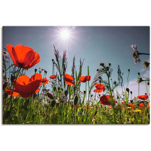 4062144095812 - Wandbild ARTLAND Mohnblumenwiese Bilder Gr B H 120 cm x 80 cm Leinwandbild Blumenwiese 1 St rot Bild Kunstdruck Kunstdrucke Bilder als Alubild Leinwandbild Wandaufkleber oder Poster in versch Größen 4062144095812 - Wandbild ARTLAND Mohnblumenwiese Bilder Gr B H 120 cm x 80 cm Leinwandbild Blumenwiese 1 St rot Bild Kunstdruck Kunstdrucke Bilder als Alubild Leinwandbild Wandaufkleber oder Poster in versch Größen