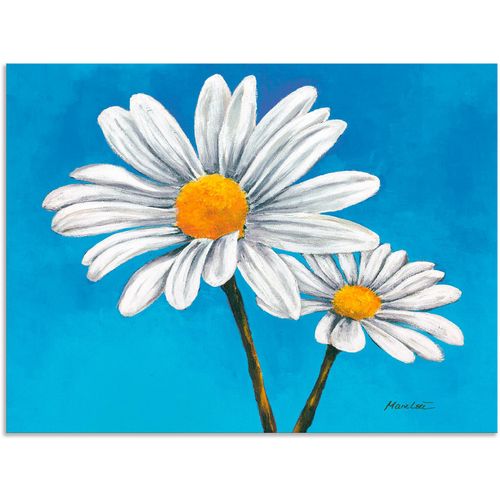4057738412298 - Wandbild ARTLAND Margeriten auf Blau Bilder Gr B H 60 cm x 45 cm Alu-Dibond-Druck Blumen 1 St blau Bild Poster Bilder als Alubild Leinwandbild Wandaufkleber oder in versch Größen 4057738412298 - Wandbild ARTLAND Margeriten auf Blau Bilder Gr B H 60 cm x 45 cm Alu-Dibond-Druck Blumen 1 St blau Bild Poster Bilder als Alubild Leinwandbild Wandaufkleber oder in versch Größen