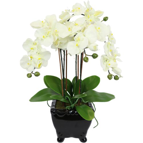 4019844596699 - Kunstblume IGEA Künstliche Orchidee in Schale Phalaenopsis Blume Kunstpflanzen Gr B H L 20 cm x 60 cm x 18 cm 1 St weiß Kunst-Blumen Kunstorchidee Deko Dekoblume Seidenblume