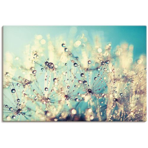 4058661088802 - Wandbild ARTLAND Pusteblume benetzt mit Tautropfen Bilder Gr B H 90 cm x 60 cm Leinwandbild Blumen 1 St blau Bild Kunstdruck Kunstdrucke Bilder als Alubild Leinwandbild Wandaufkleber oder Poster in versch Größen 4058661088802 - Wandbild ARTLAND Pusteblume benetzt mit Tautropfen Bilder Gr B H 90 cm x 60 cm Leinwandbild Blumen 1 St blau Bild Kunstdruck Kunstdrucke Bilder als Alubild Leinwandbild Wandaufkleber oder Poster in versch Größen